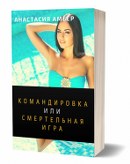 Командировка, или Смертельная Игра Детективный триллер - аудиокнига Анастасии Амбер - слушать онлайн полностью бесплатно
