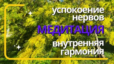 Медитация для успокоения нервов, снятия стресса, тревоги и напряжения
